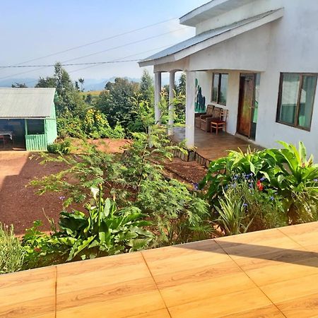Ruhija Gorilla Guest House Kabale ภายนอก รูปภาพ