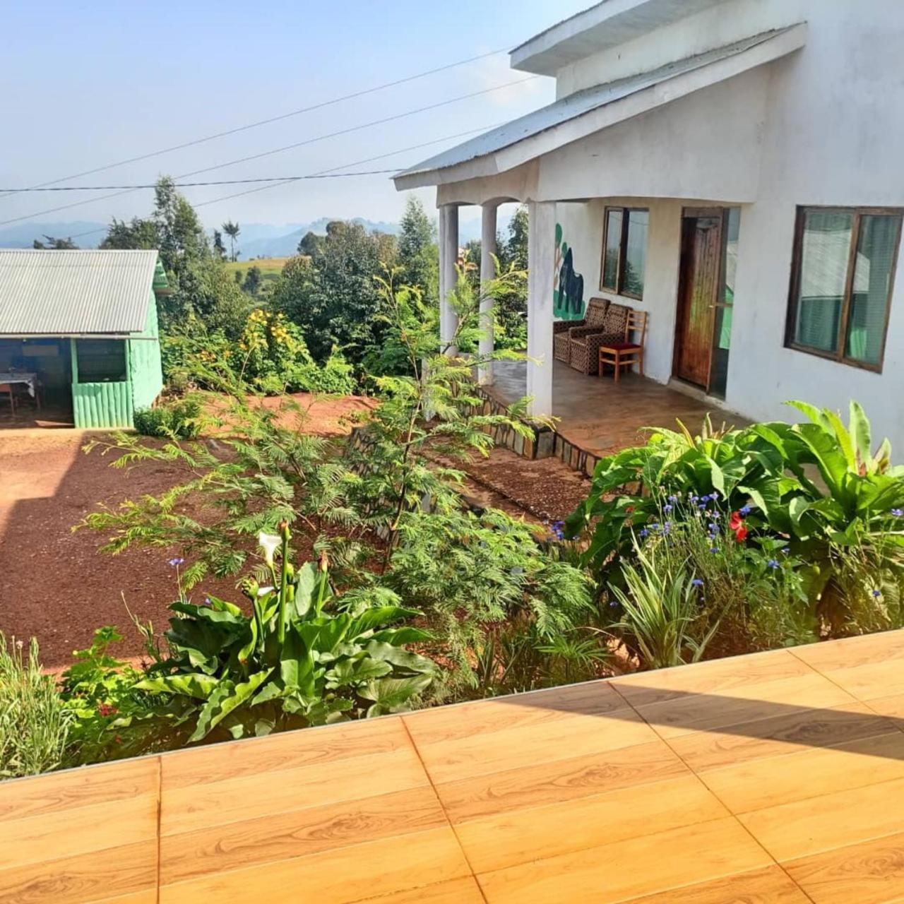 Ruhija Gorilla Guest House Kabale ภายนอก รูปภาพ