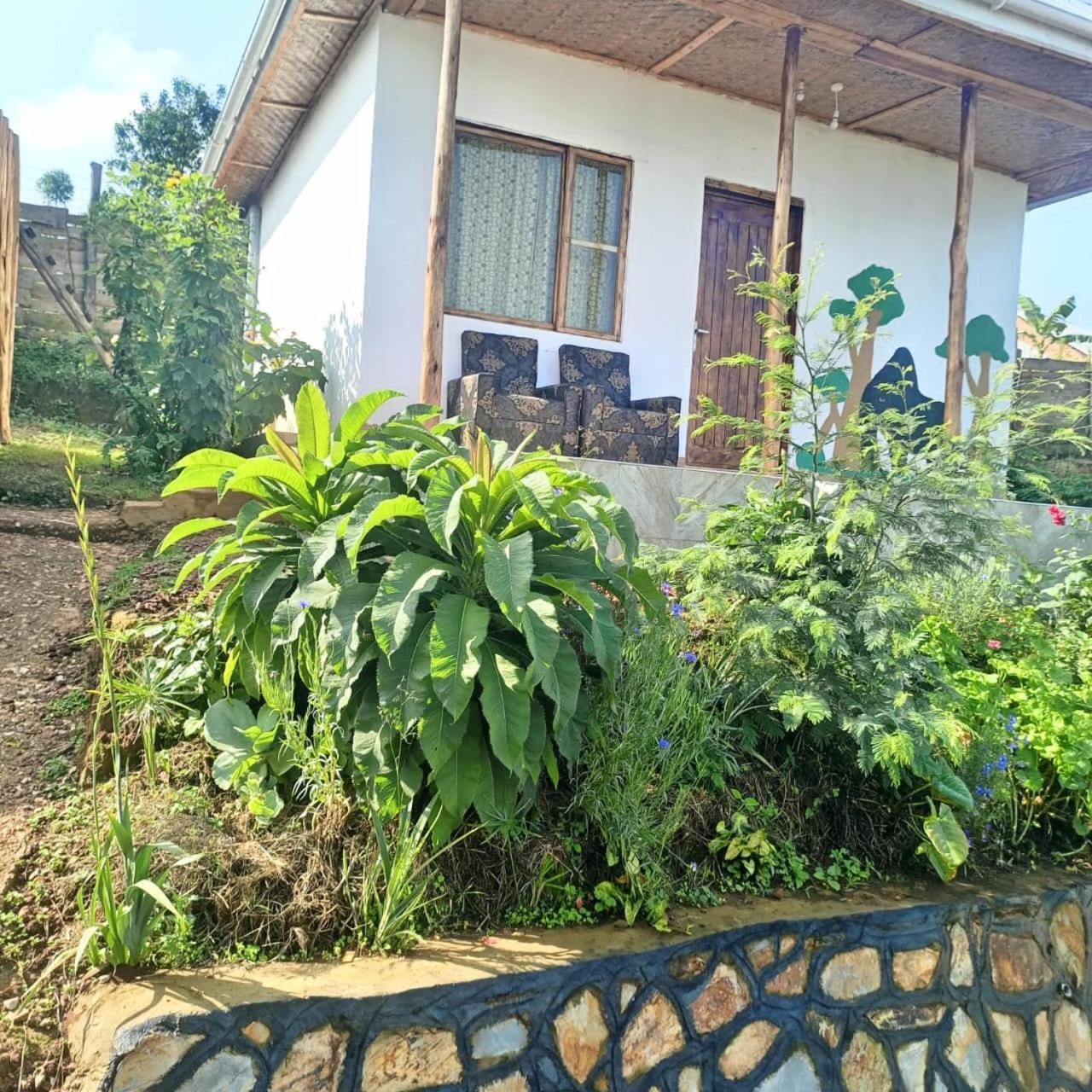 Ruhija Gorilla Guest House Kabale ภายนอก รูปภาพ
